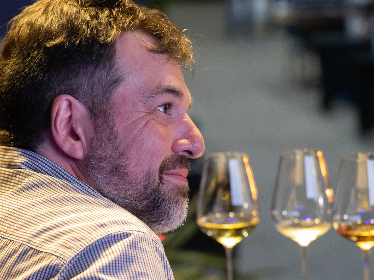 Convidado ao lado das taças de vinho branco