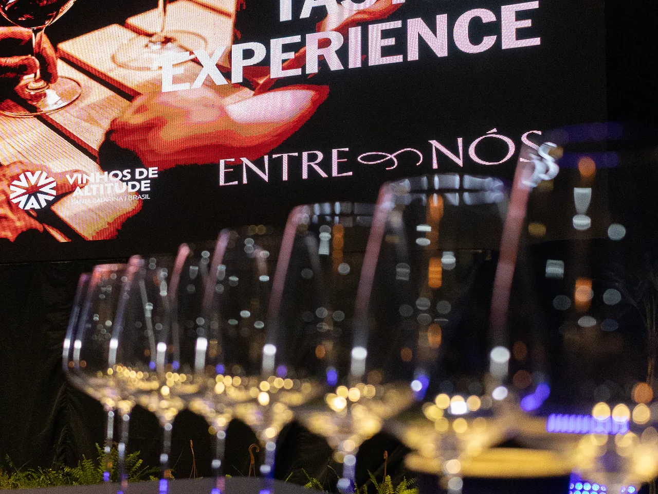 Abertura do Wine Tasting Experience