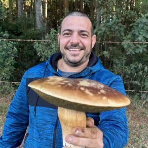 Os cogumelos silvestres e suas versatilidade