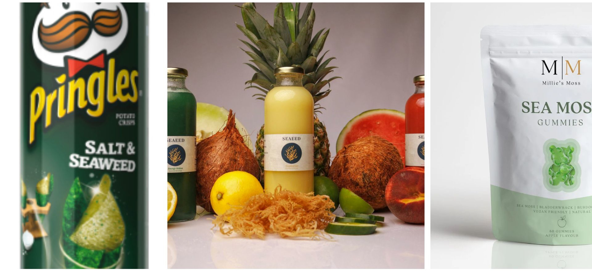Imagens: Produtos de algas marinhas (milliesmoss.com, pringles.com, squarespace.com)