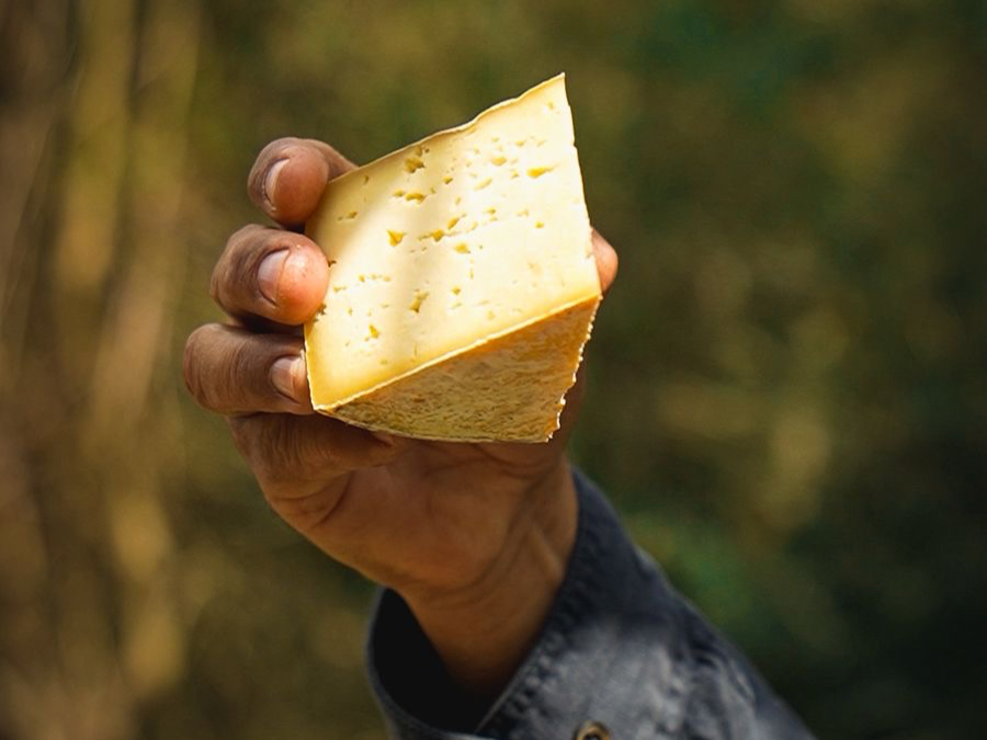 O Queijo Artesanal Serrano: Tradição Secular de Bom Retiro (SC)